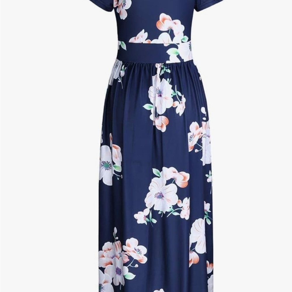 Blue and Pink V-Neck Flutter Sleeve Maxi Dress - Picture 13 of 14